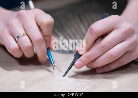 Dresde, Allemagne. 28 novembre 2024. Un restaurateur travaille sur les dessins préliminaires du Fürstenzug dans le palais japonais. La restauration du dessin à l'échelle 1:1 du monument de Dresde devrait être achevée d'ici août 2025. Crédit : Sebastian Kahnert/dpa/Alamy Live News Banque D'Images