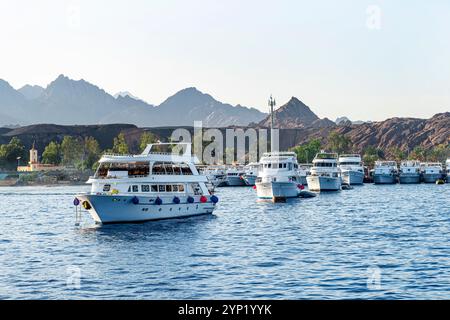 Lot off yachts sur fond de montagnes sont ancrés dans la mer. Parking maritime de bateaux et yachts en Turquie Banque D'Images