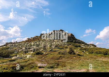 Colline Violik (1472 m) sur les crêtes des montagnes Krkonose près de la frontière tchèque-polonaise. Banque D'Images