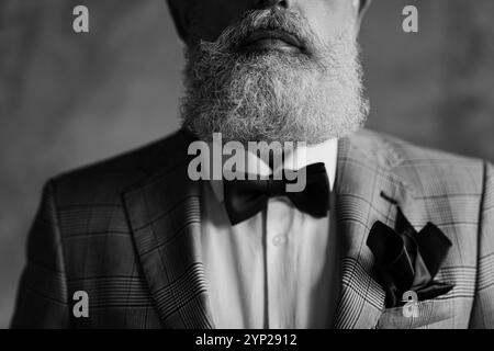 Photo rapprochée d'une barbe d'homme luxueuse et tendance aux cheveux gris, habillée d'un noeud papillon vineux à carreaux, d'un mouchoir de poche, d'un code drecc Banque D'Images