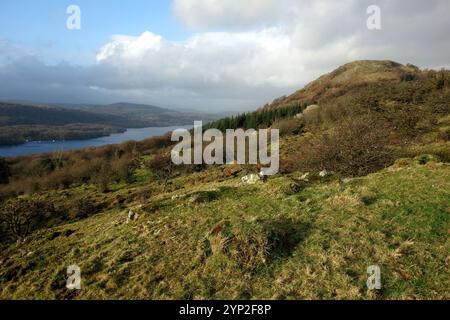 Le Wainwright « Gummer's How » au-dessus du lac Windermere de « Staveley Fell » près de Fell Foot dans le parc national du Lake District, Cumbria, Angleterre. Banque D'Images