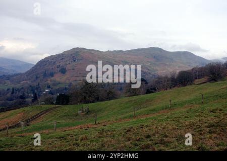 Les Wainwrights « NAB Scar » et « Heron Pike » de la piste à « Low Pike » d'Ambleside, Lake District National Park, Cumbria, Angleterre, Royaume-Uni. Banque D'Images