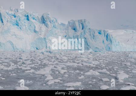 Icebergs et glace de brash à kayak Cove, pendant les mois d'été austral, île du Brabant, près de la péninsule Antarctique, Antarctique, régions polaires Banque D'Images