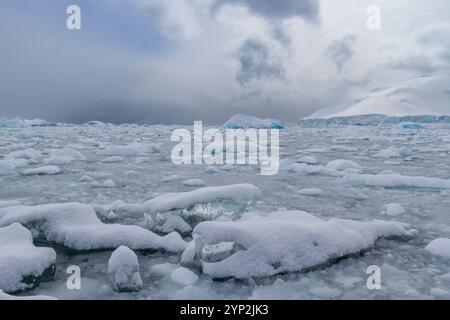 Icebergs et glace de brash à kayak Cove, pendant les mois d'été austral, île du Brabant, près de la péninsule Antarctique, Antarctique, régions polaires Banque D'Images