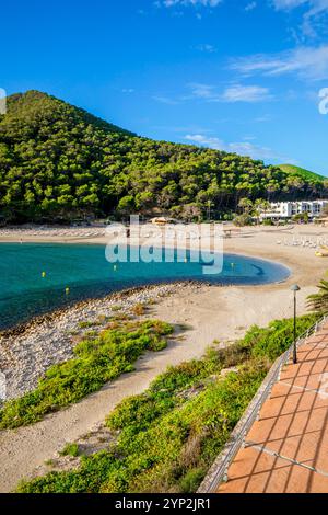 Plage à Cala Llonga, Ibiza, Îles Baléares, Espagne, Méditerranée, Europe Banque D'Images