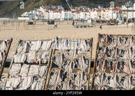 Séchage du poisson à Nazare Beach, Nazare, Oeste, Estremadura, Portugal, Europe Banque D'Images