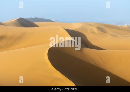 Dunes de sable dans le désert, Huacachina, district d'ICA, province d'ICA, région d'ICA, Pérou, Amérique du Sud Banque D'Images