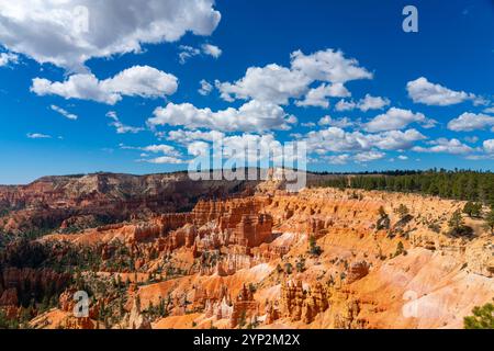 Vue panoramique sur les hoodoos et les formations rocheuses, Sunrise point, parc national de Bryce Canyon, Utah, États-Unis d'Amérique, Amérique du Nord Banque D'Images
