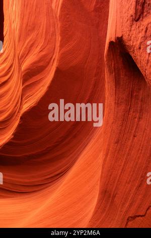 Détails abstraits du mur de canyon de fente orange, Antelope Canyon X, page, Arizona, États-Unis d'Amérique, Amérique du Nord Banque D'Images