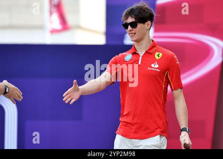 Doha, Qatar. 28 novembre 2024. Oliver Bearman (GBR) Ferrari Reserve Driver. Championnat du monde de formule 1, Rd 23, Grand Prix du Qatar, jeudi 28 novembre 2024. Doha, Qatar. Crédit : James Moy/Alamy Live News Banque D'Images