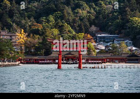 Célèbre porte d'Otori, Torii dans la mer en face de la forêt et du Temple, Miyajima, site du patrimoine mondial de l'UNESCO, préfecture d'Hiroshima, Honshu, Japon, Asie Banque D'Images