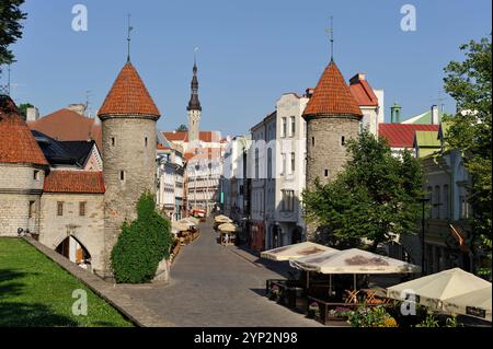 Porte dans la rue Viru, site du patrimoine mondial de l'UNESCO, Tallinn, Estonie, Europe Banque D'Images