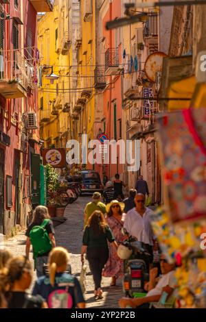 Vue de ruelle étroite colorée dans le port de pêche, Procida, îles Phlegraean, Golfe de Naples, Campanie, Italie du Sud, Italie, Europe Banque D'Images