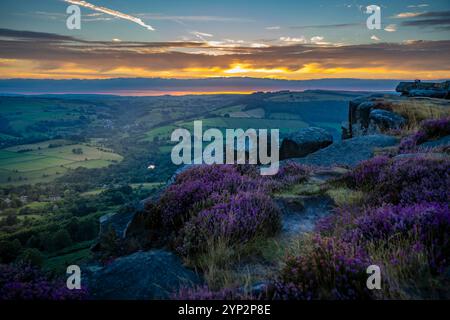 Vue du paysage de Curbar Edge avec bruyère à floraison violette au coucher du soleil, Peak District National Park, Baslow, Derbyshire, Angleterre, Royaume-Uni, Banque D'Images