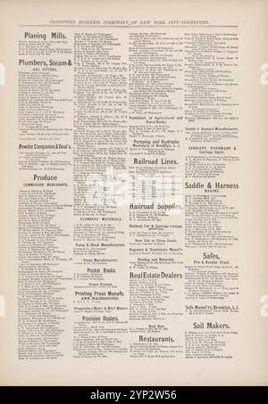 Classifié Business Directory de New York [10] 1871 Banque D'Images