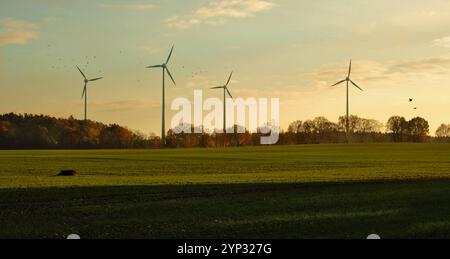 Windräder Windräder in der Prignitz BEI Bölzke Prignitz Brandenburg Deutschland *** éoliennes éoliennes à Prignitz près de Bölzke Prignitz Brandenburg Allemagne Copyright : xRayxvanxZeschaux Banque D'Images