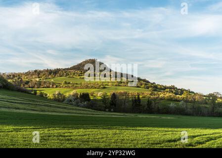 Paysage printanier à Hegau avec des arbres fleuris et des prairies verdoyantes, vue sur le Hohenstoffeln, Engen, Bade-Wuerttemberg, Allemagne Banque D'Images