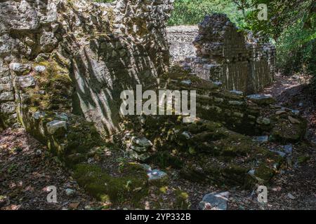 Le Columbarium dans le parc archéologique de Butrint, parc national de Butrint, Albanie. Site classé au patrimoine mondial de l'UNESCO. Nécropole du Ve siècle, cinérarium romain Banque D'Images