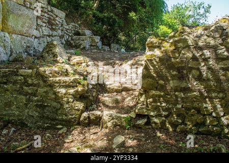 Le Columbarium dans le parc archéologique de Butrint, parc national de Butrint, Albanie. Site classé au patrimoine mondial de l'UNESCO. Nécropole du Ve siècle, cinérarium romain Banque D'Images