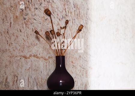 Un bouquet de fleurs sèches dans un petit vase en verre violet sur une table à la lumière naturelle. Composition florale séchée. Têtes de pavot séchées contre le mur. Banque D'Images