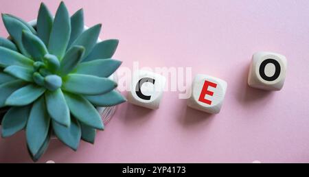 PDG - symbole du président-directeur général. Mot concept CEO sur les cubes en bois. Beau fond rose avec plante succulente. Concept d'entreprise et de PDG. Copier Banque D'Images