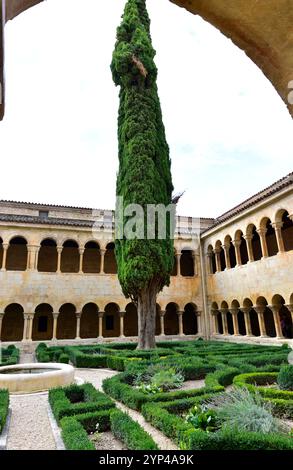 Monastère de Santo Domingo de silos. Cloître roman (11-12ème siècle) avec le cyprès des silos. Burgos, Castilla y León, Espagne. Banque D'Images