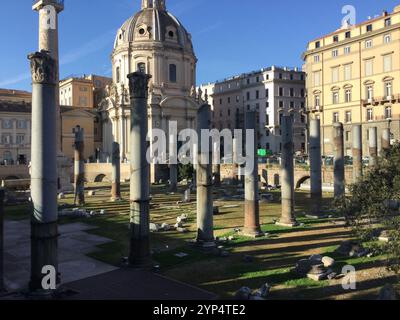 Anciennes colonnes et vestiges se dressent fièrement sous un ciel clair dans un quartier historique, entouré de bâtiments modernes, illuminant un mélange de passé et de présen Banque D'Images