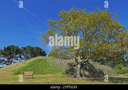 Cairn of Gavrinis, Larmor-Baden, Golfe du Morbihan, Morbihan, Bretagne, Bretagne, France, Europe Banque D'Images