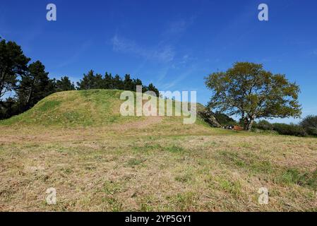 Cairn of Gavrinis, Larmor-Baden, Golfe du Morbihan, Morbihan, Bretagne, Bretagne, France, Europe Banque D'Images