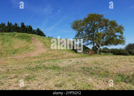 Cairn of Gavrinis, Larmor-Baden, Golfe du Morbihan, Morbihan, Bretagne, Bretagne, France, Europe Banque D'Images