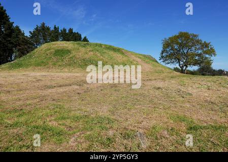 Cairn of Gavrinis, Larmor-Baden, Golfe du Morbihan, Morbihan, Bretagne, Bretagne, France, Europe Banque D'Images