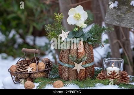 arrangement de noël rustique avec helleborus niger, cônes et lanterne de table Banque D'Images