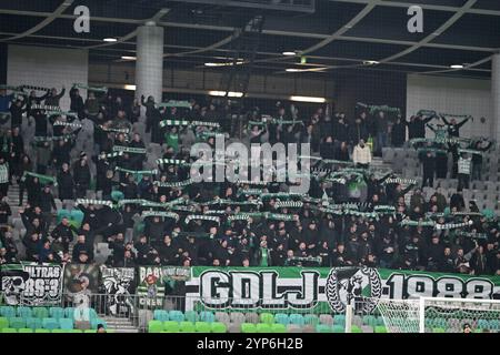 Ljubljana, Slovénie. 28 novembre 2024. Ljubljana, Slovénie, 28 novembre 2024 : les fans d'Olimpija Green Dragons avant la Ligue de conférence de l'UEFA, phase de ligue, match entre Olimpija Ljubljana (Slovénie) et Larne Irlande du Nord au Stadium Stozice, Ljubljana, Slovénie. (Igor Kupljenik/SPP) crédit : SPP Sport Press photo. /Alamy Live News Banque D'Images