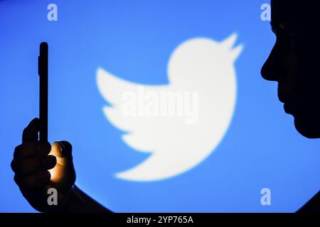 Dans cette illustration photo, la silhouette d'une femme tient un smartphone avec le logo Twitter en arrière-plan Banque D'Images