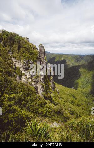 Falaise abrupte avec une végétation luxuriante et une vue imprenable sur la vallée, Coromandel, Nouvelle-Zélande, Océanie Banque D'Images