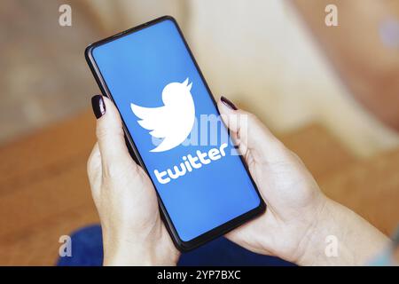 Dans cette illustration photo, le logo Twitter est affiché sur l'écran d'un smartphone Banque D'Images