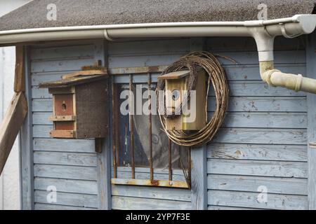 Nichoirs sur mur en bois bleu Banque D'Images