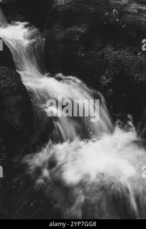 Une petite cascade coule sur des rochers, capturés en noir et blanc, Coromandel, Nouvelle-Zélande, Océanie Banque D'Images