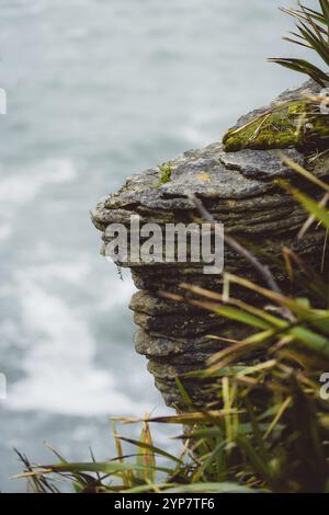 Gros plan d'un rocher en couches au bord de la mer, entouré de plantes, côte ouest, Nouvelle-Zélande, Océanie Banque D'Images