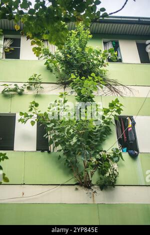 Bangkok, Thaïlande, 26 novembre 2024 paysage urbain et rues de Bangkok, capitale de la Thaïlande. Réputé pour sa vie de rue animée, riche hérita culturel Banque D'Images