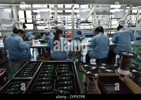 FUYANG, CHINE - 29 NOVEMBRE 2024 - des employés travaillent sur une ligne de production de produits d'alimentation sans fil dans l'atelier de Zhonghui Chuangzhi (Fuyan Banque D'Images