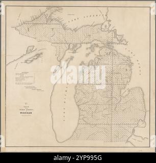 Croquis des enquêtes publiques dans le Michigan 1854 par les États-Unis. Arpenteur général pour l'Ohio, l'Indiana et le Michigan Banque D'Images