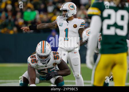 Green Bay, Wisconsin, États-Unis. 28 novembre 2024. Tua Tagovailoa, quarterback des Miami Dolphins (1), lors du match de football NFL entre les Miami Dolphins et les Green Bay Packers au lambeau Field à Green Bay, Wisconsin. Darren Lee/CSM/Alamy Live News Banque D'Images