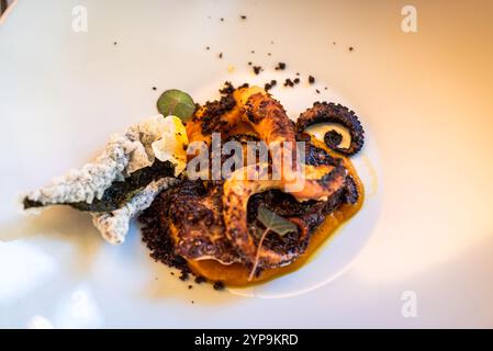 Tentacules de poulpe grillés dans un placage élégant Banque D'Images