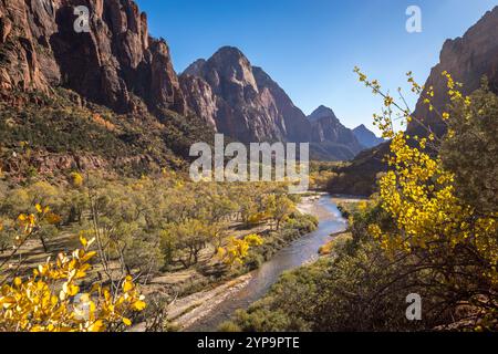 Découvrez la beauté époustouflante du parc national de Zion à Springdale, Utah. Cet endroit magnifique dispose d'imposantes falaises de grès et d'une vie animée Banque D'Images