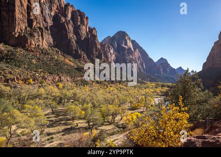 Découvrez la beauté époustouflante du parc national de Zion à Springdale, Utah. Cet endroit magnifique dispose d'imposantes falaises de grès et d'une vie animée Banque D'Images