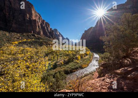 Découvrez la beauté époustouflante du parc national de Zion à Springdale, Utah. Cet endroit magnifique dispose d'imposantes falaises de grès et d'une vie animée Banque D'Images