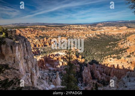 Admirez la beauté époustouflante du parc national de Bryce Canyon depuis le Rim Trail à Bryce point, où les hoodoos s'élèvent majestueusement du pin vert luxuriant Banque D'Images