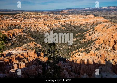 Admirez la beauté époustouflante du parc national de Bryce Canyon depuis le Rim Trail à Bryce point, où les hoodoos s'élèvent majestueusement du pin vert luxuriant Banque D'Images