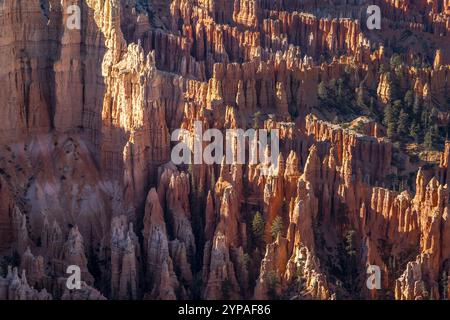 Admirez les étonnantes formations de hoodoos à Bryce Canyon, Utah. Ce paysage à couper le souffle met en valeur la beauté sculptée de la nature et ses couleurs éclatantes. Banque D'Images